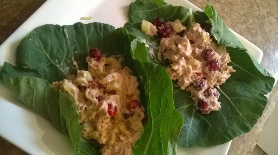 Carb-free tuna wrap with cranberries and celery